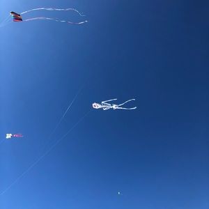 Meet your Posher, Yasmine